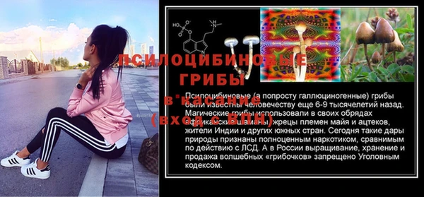 МДПВ Струнино