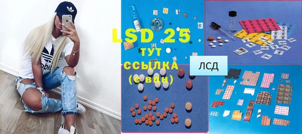 a pvp Магас