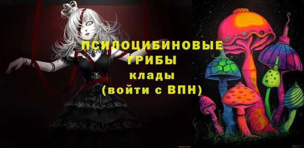 соль курить ск Строитель