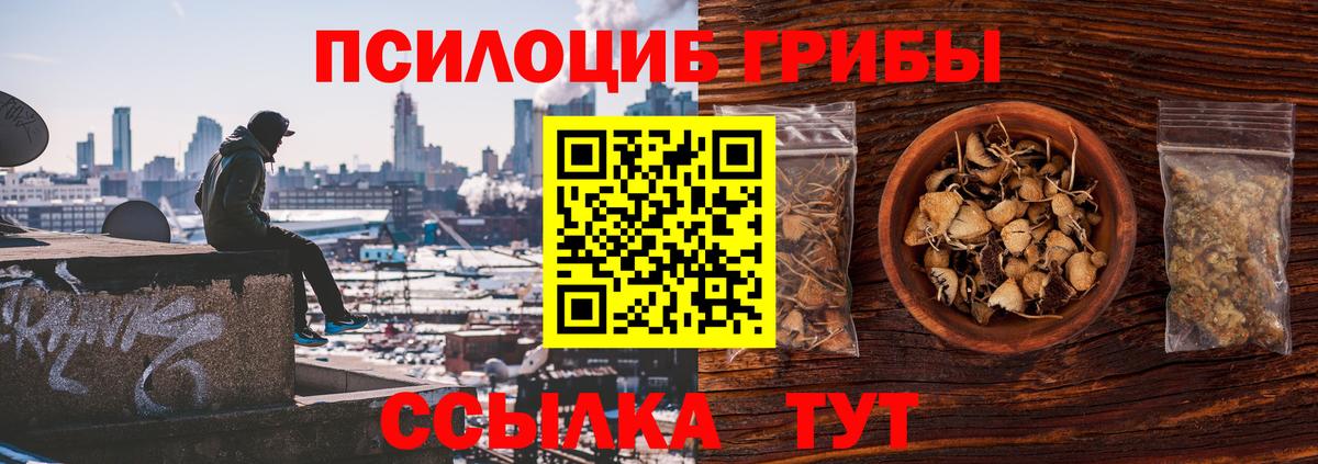 Галлюциногенные грибы прущие грибы  Альметьевск  Галлюциногенные грибы прущие грибы 